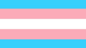 Bandcamp setzt sich für Trans-Rechte ein