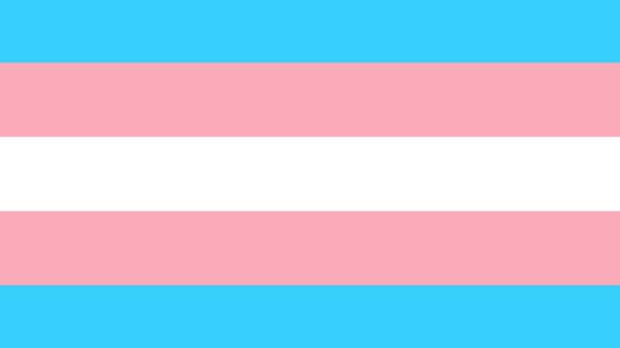 Bandcamp setzt sich für Trans-Rechte ein